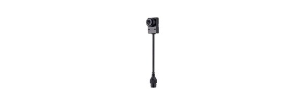 Remote Head Kameras