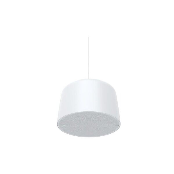 AXIS C1510 Netzwerk Pendant Speaker