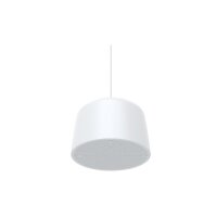 AXIS C1510 Netzwerk Pendant Speaker