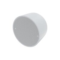 AXIS C1510 Netzwerk Pendant Speaker