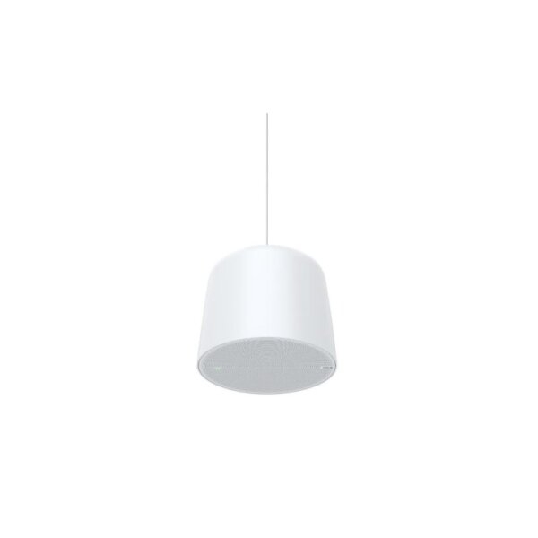 AXIS C1511 Network Pendant Speaker