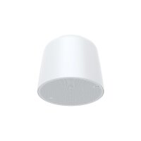 AXIS C1511 Network Pendant Speaker