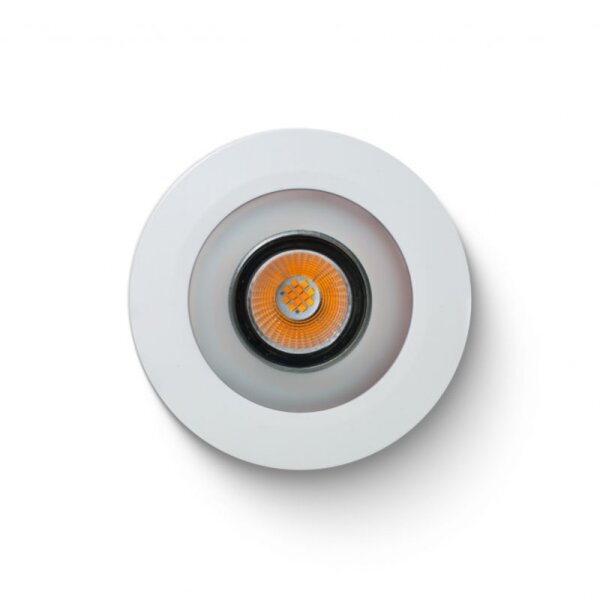 LED Spot WW PWM