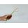Loxone Tree Cable