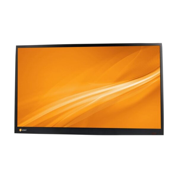 ENEO VM-FHD24M
