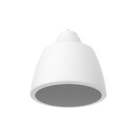 Hanwha SPA-P100W