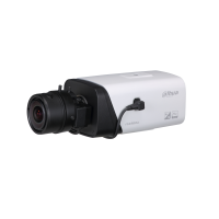 Dahua IPC-HF5442EP-E