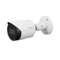 Dahua DH-IPC-HFW2441SP-S-0280B