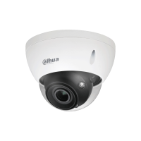 Dahua DH-IPC-HDBW5842EP-ZE-2712-DC12AC24V-S2