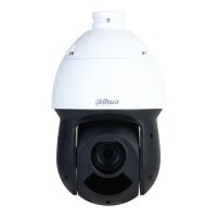 Dahua DH-SD49225DB-HNY