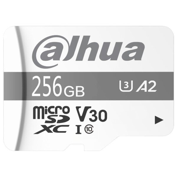 Dahua DHI-TF-P100/256GB