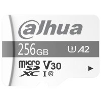 Dahua DHI-TF-P100/256GB