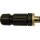 CONNECTOR M12 MALE 10PCS